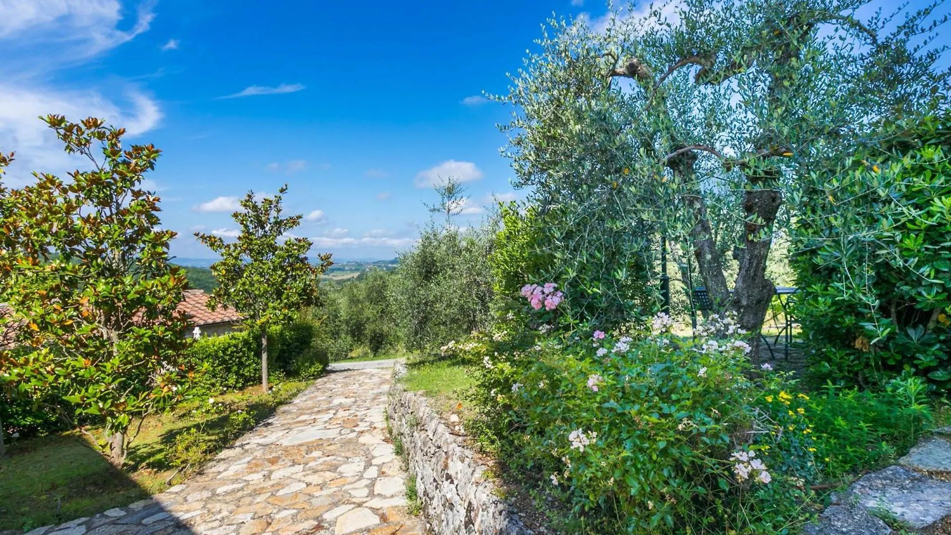 Apartment Leonardo By Interhome San Donato in Poggio
